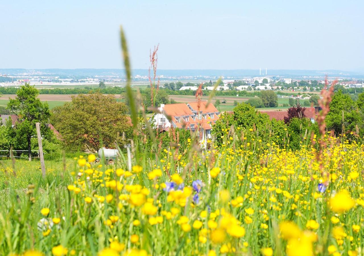 Hotel Alber Leinfelden-Echterdingen Kültér fotó